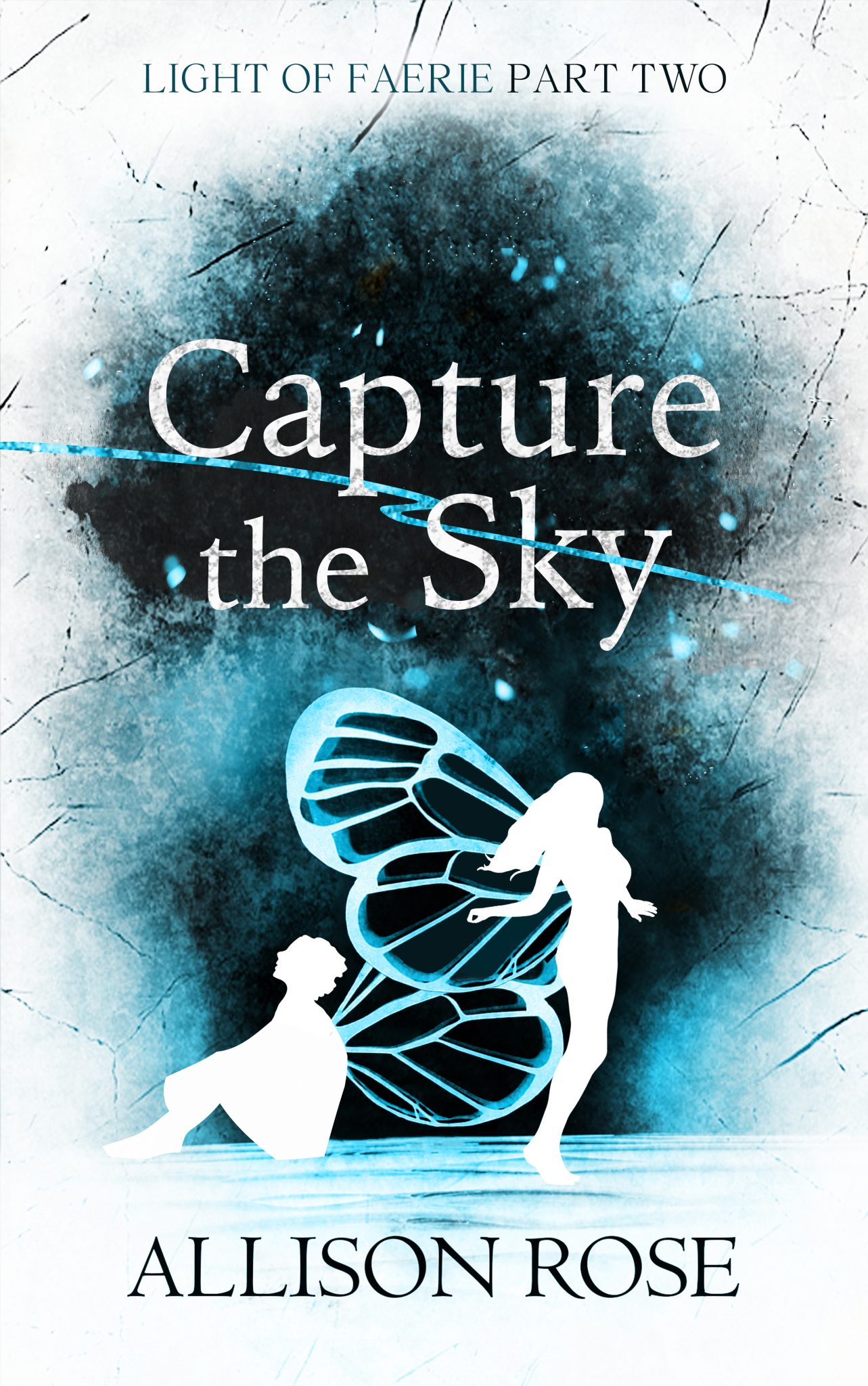 Capture the Sky by Allison Rose