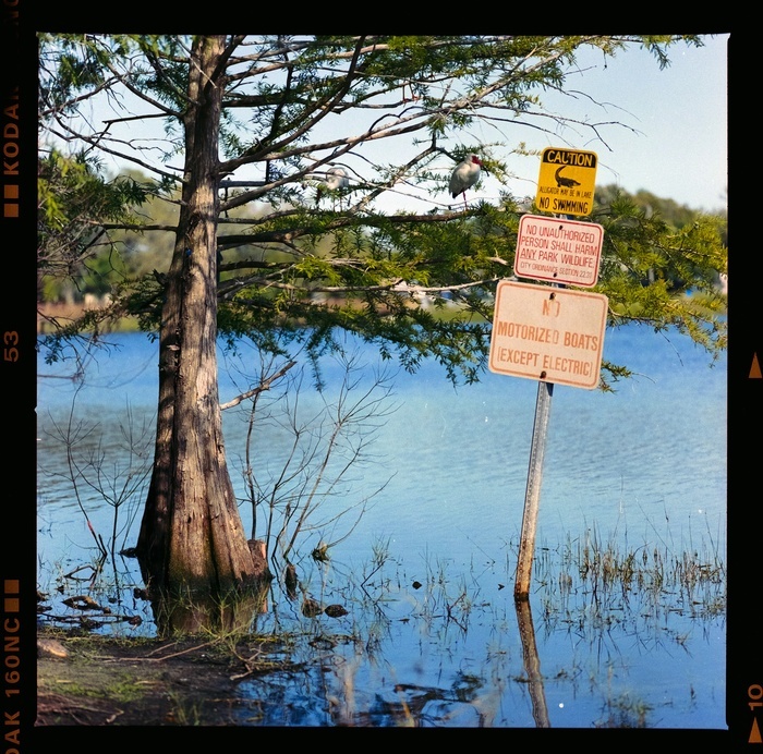 B. Dalton masquerading as a swamp